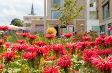 Afbeelding 4 van De Oevelgunne, Gendringen | Nieuwbouw