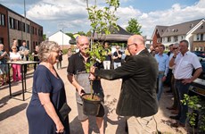 Afbeelding 1 van Buurtmaken voor bewoners nieuwbouwproject Reeënstraat Silvolde